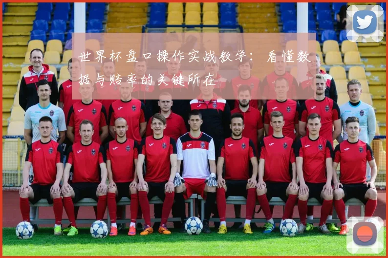 世界杯盘口操作实战教学：看懂数据与赔率的关键所在