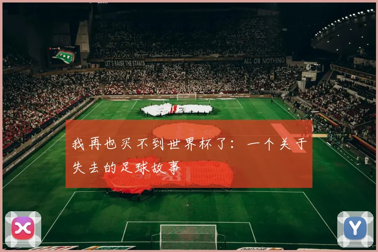 我再也买不到世界杯了：一个关于失去的足球故事