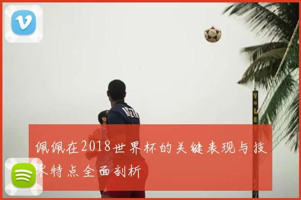 佩佩在2018世界杯的关键表现与技术特点全面剖析