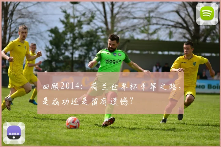 回顾2014:荷兰世界杯季军之路,是成功还是留有遗憾?