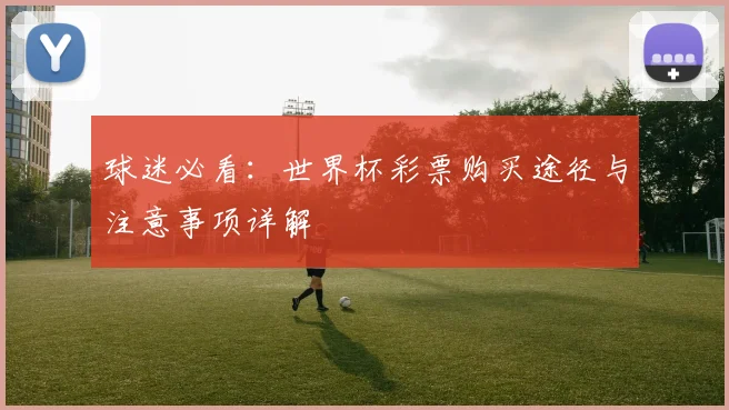 球迷必看：世界杯彩票购买途径与注意事项详解