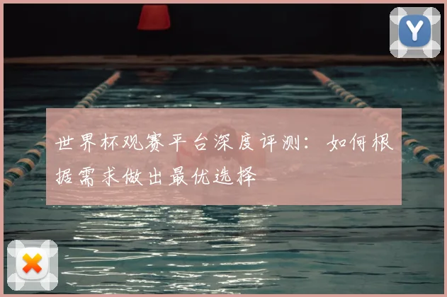 世界杯观赛平台深度评测:如何根据需求做出最优选择